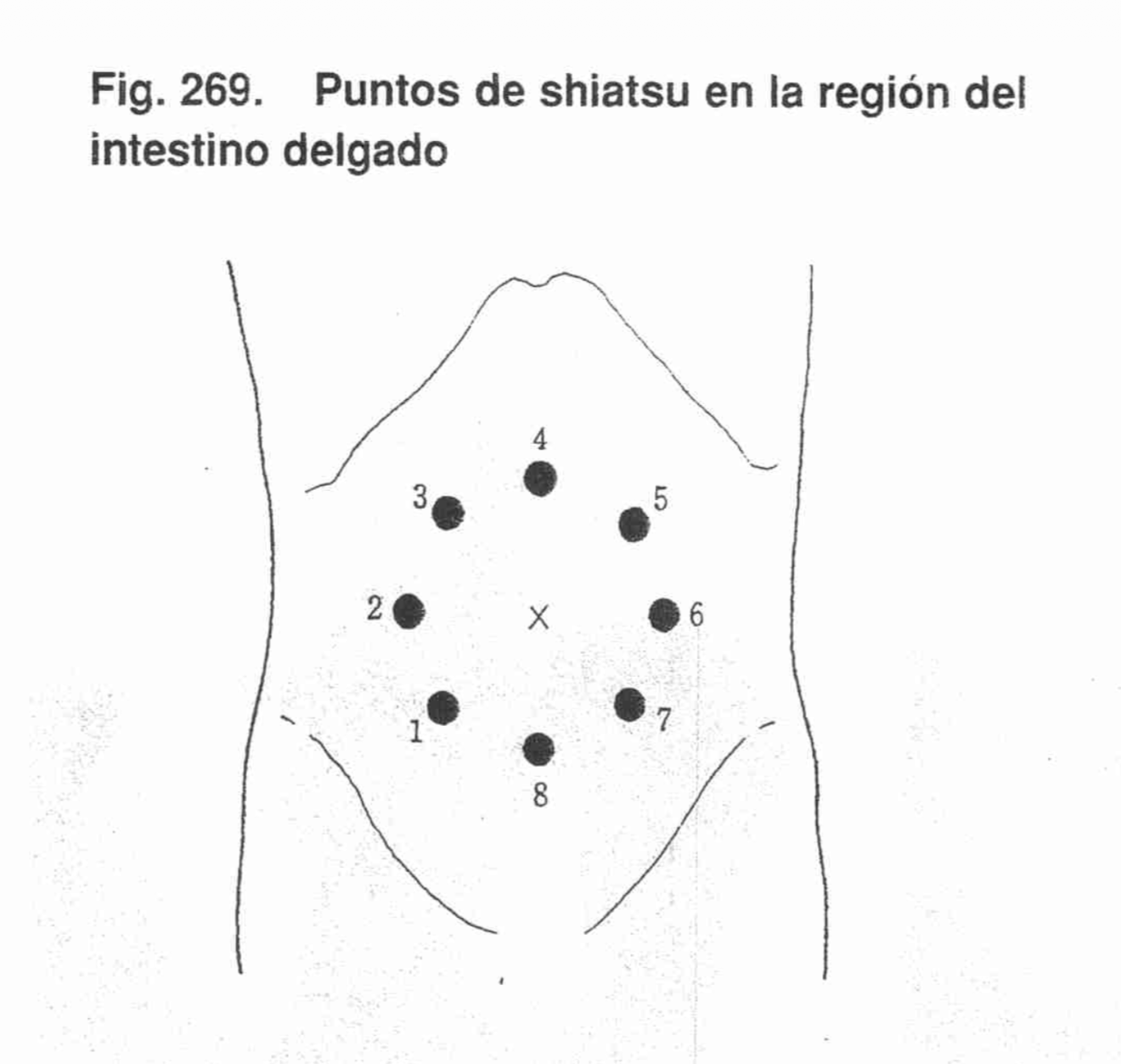 Circuito Intestino Delgado