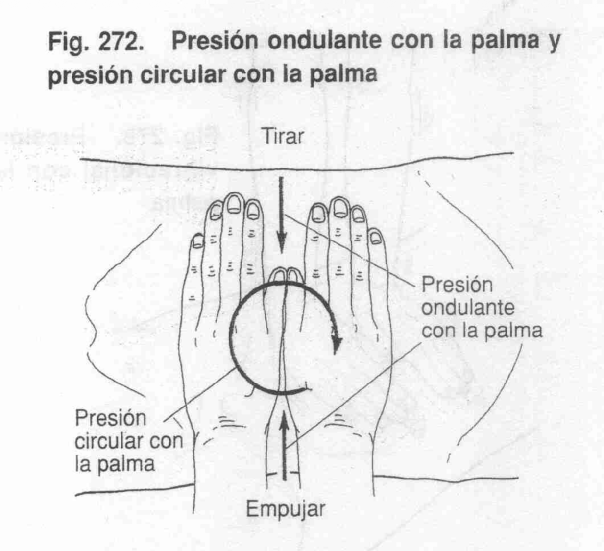 Maniobra ondulatoria 1