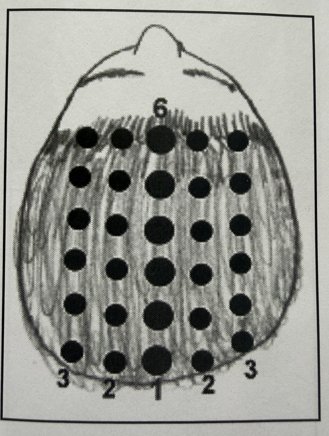 Posición pulgares en A