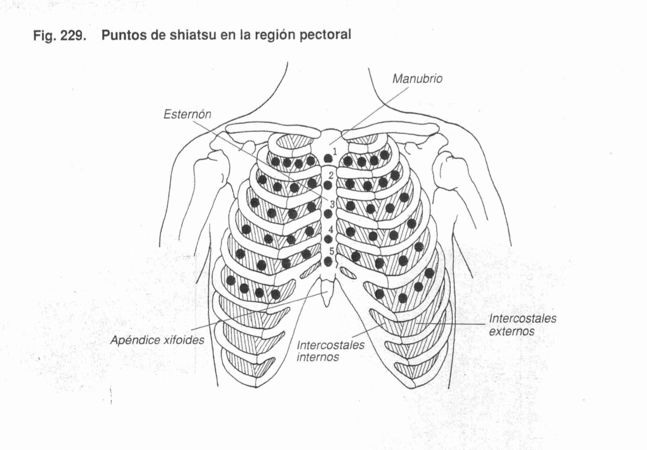 Puntos esternón