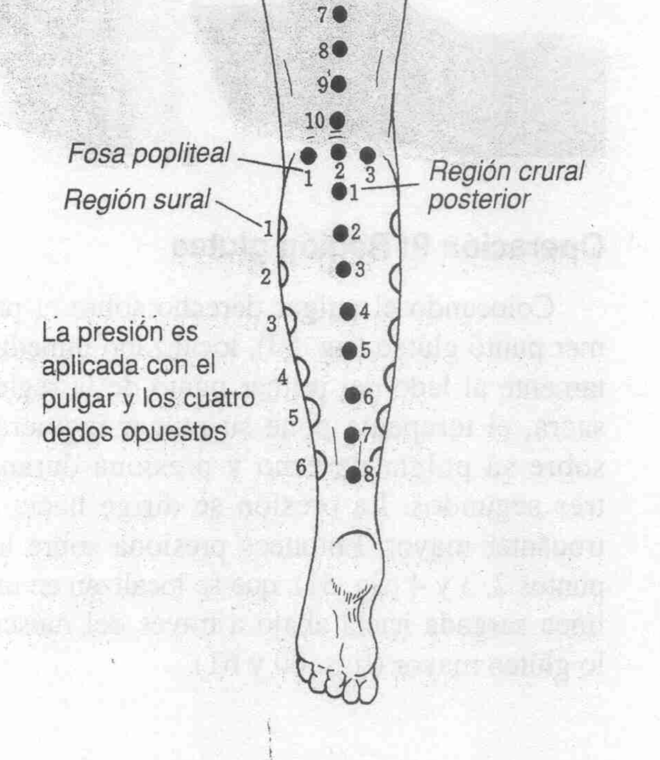 Operación 13 - Foto 2
