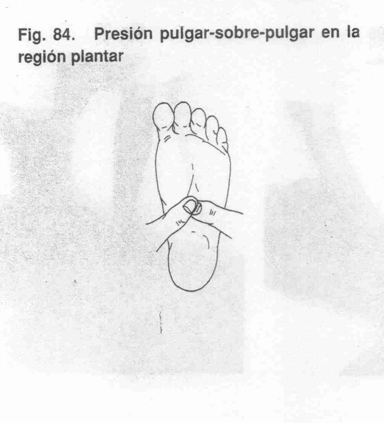 Operación 18 - Foto 2