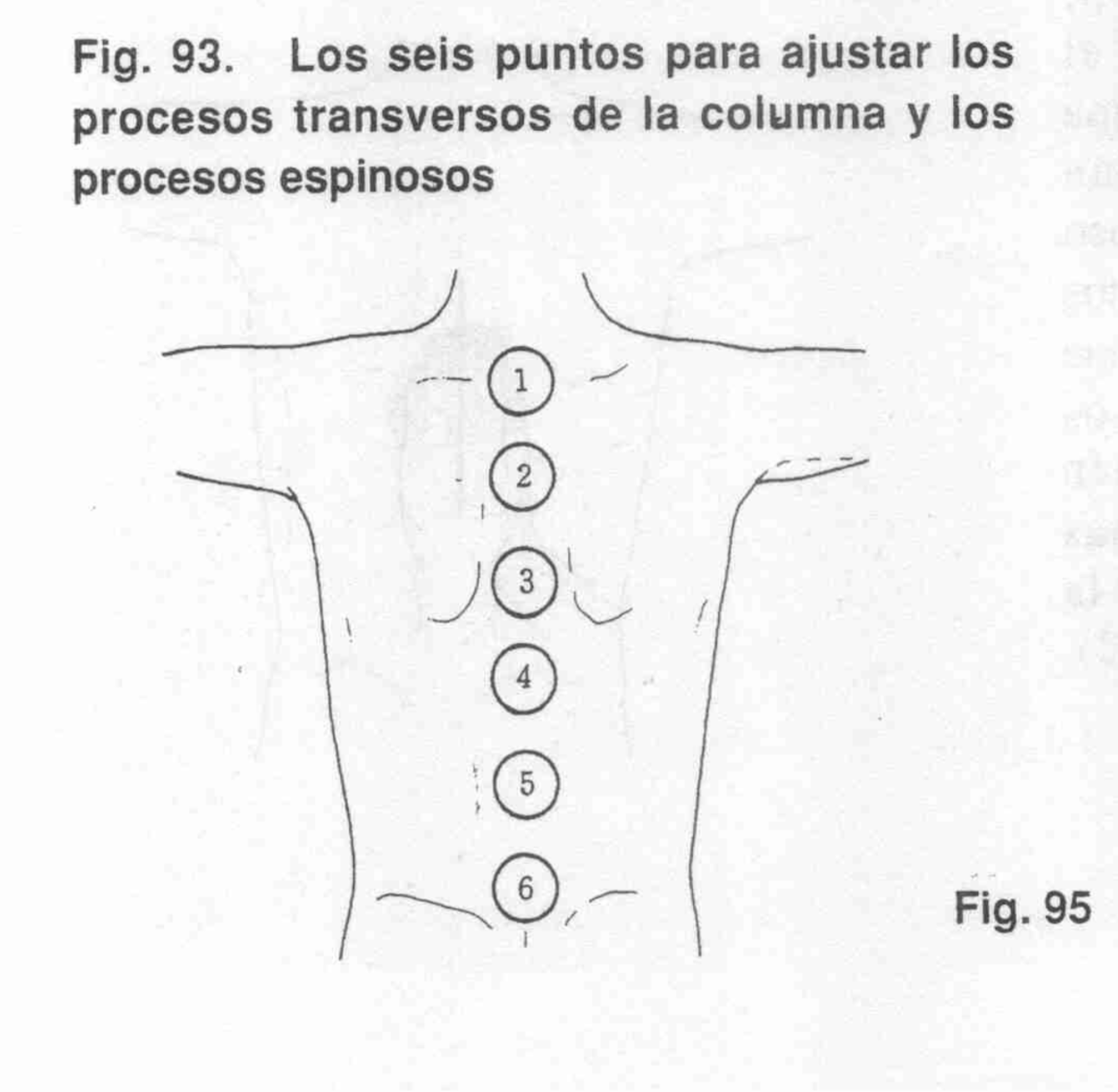 Operación 23 - Foto 3
