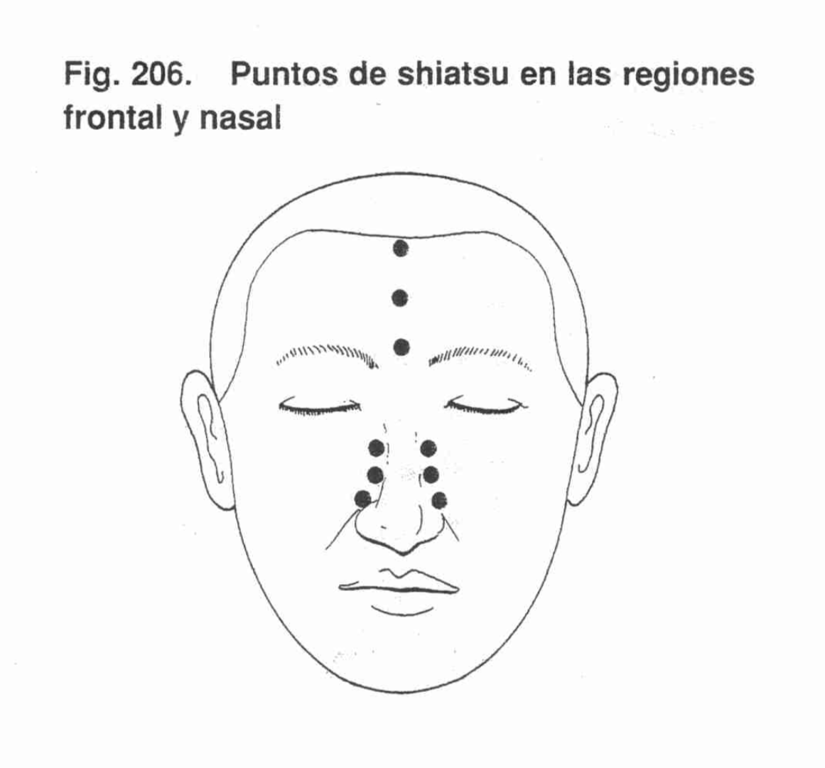 Puntos región frontal