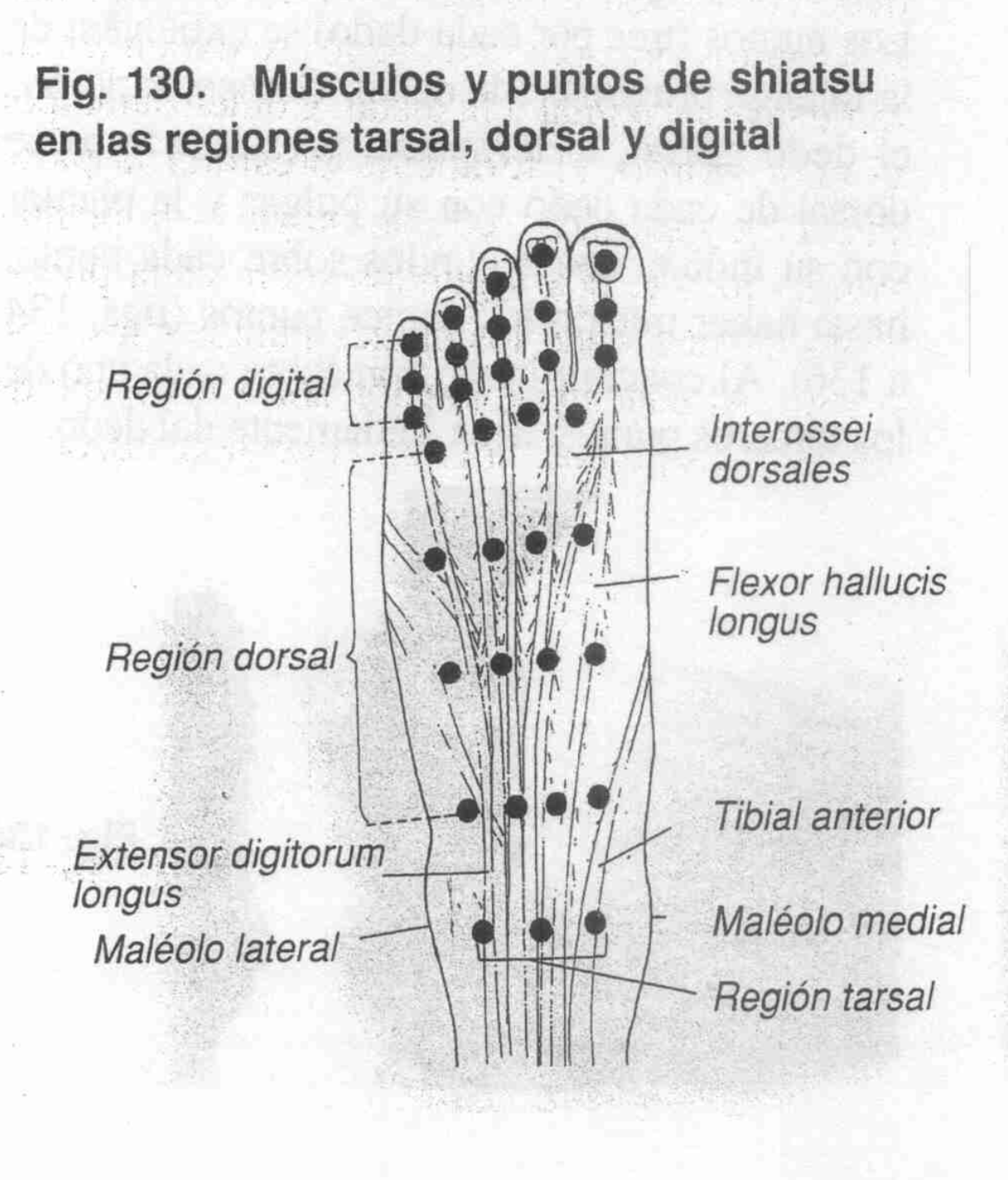 Presión Canales Empeine