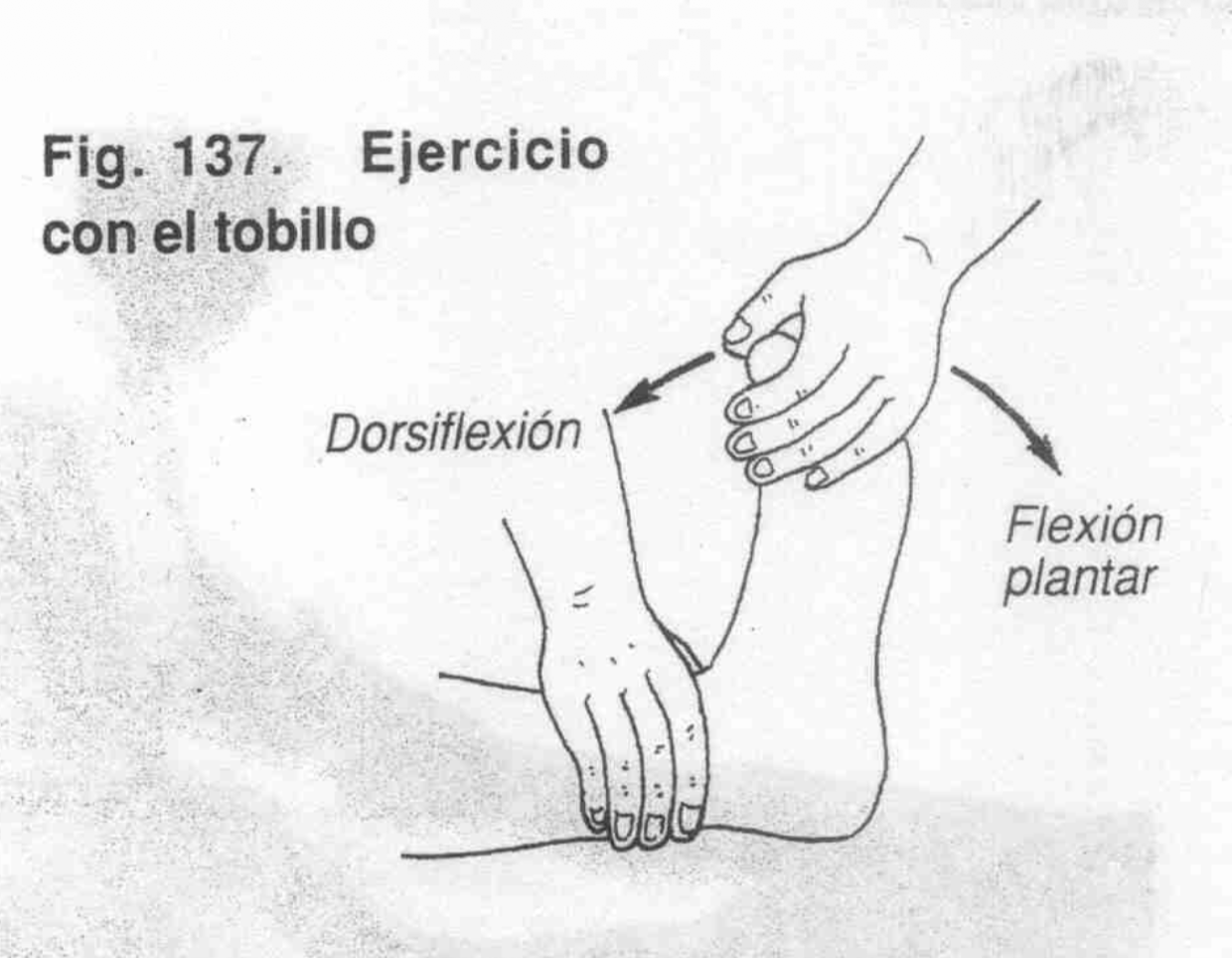 Dorsiflexión Tobillo