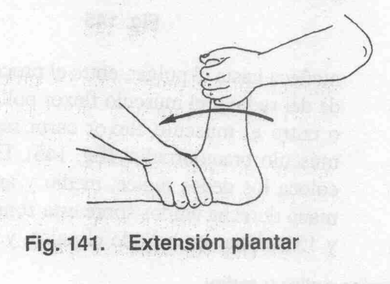 Empuje Metatarsal
