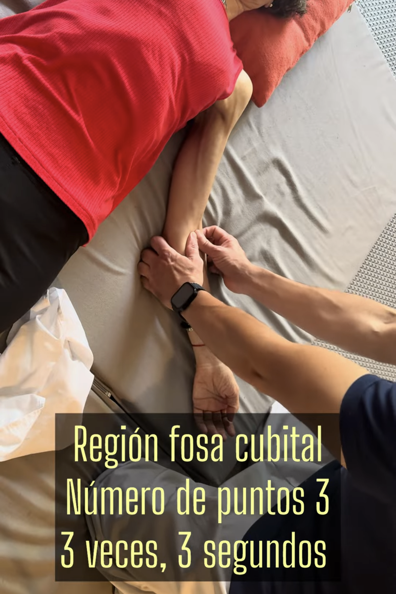 Esquema Músculos Codo