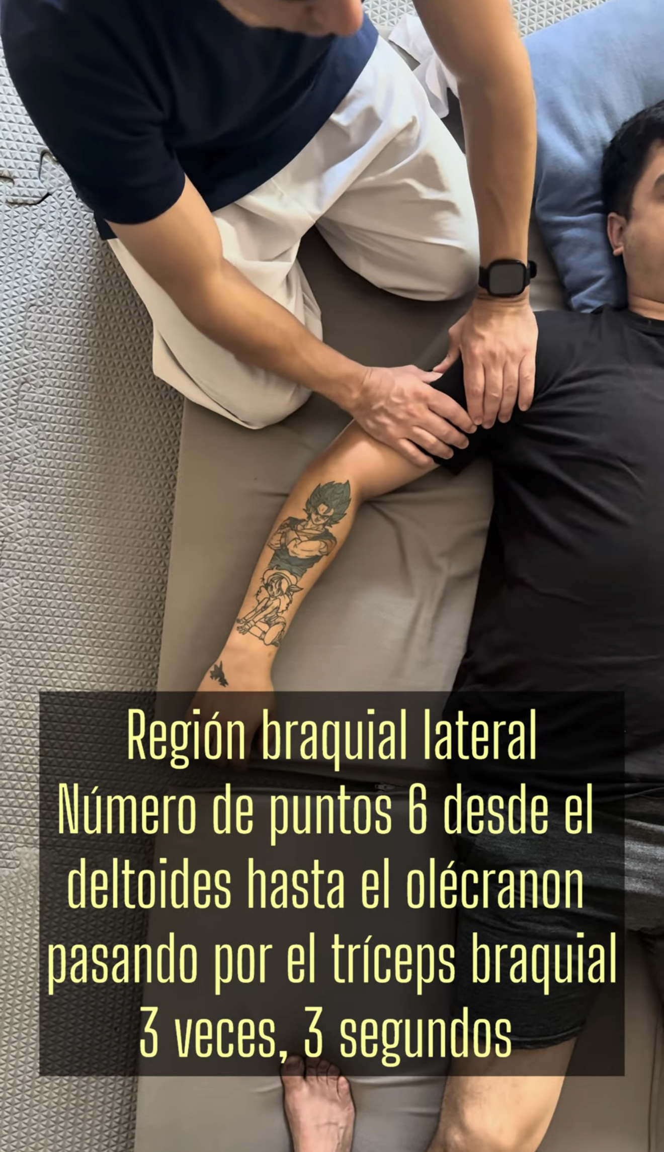 Esquema Músculos Tríceps